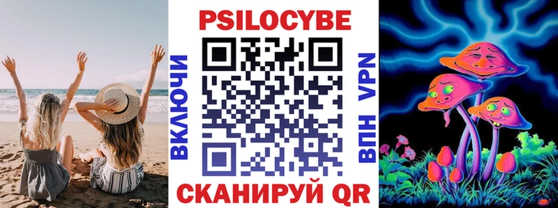 Галлюциногенные грибы Psilocybe  Крым 